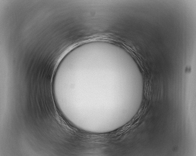 X0000115480100200911061033