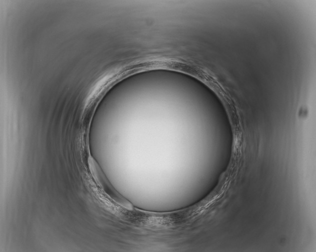 X0000115480101200911061033