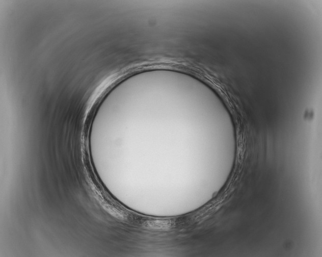 X0000115480102200911061033