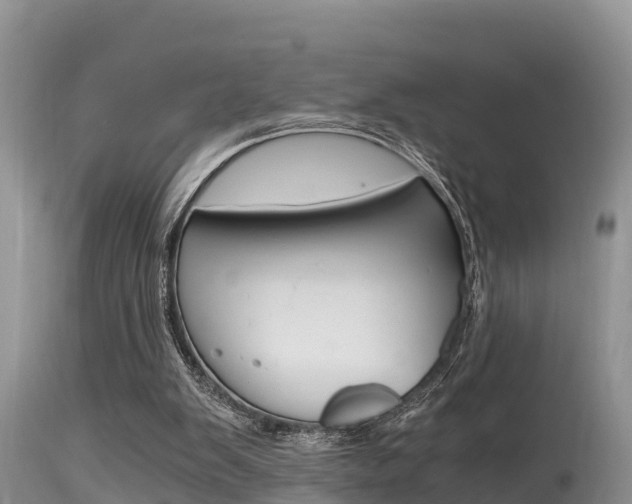 X0000115480103200911061033