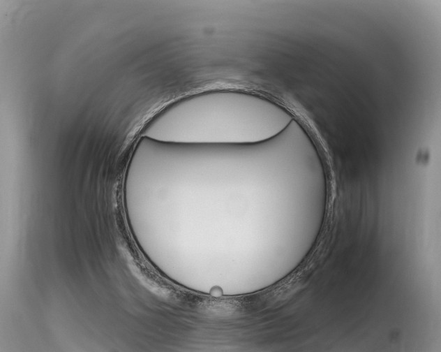 X0000115480106200911061033