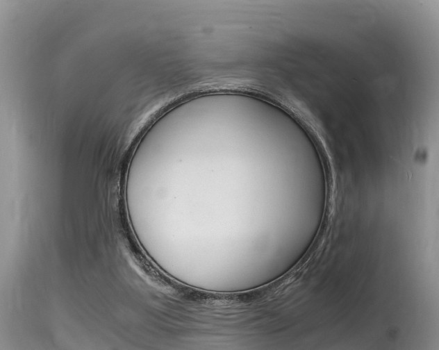 X0000115480107200911061033