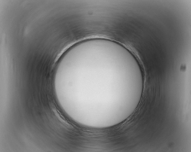 X0000115480108200911061033