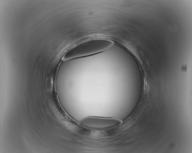 X0000115480109200911061033