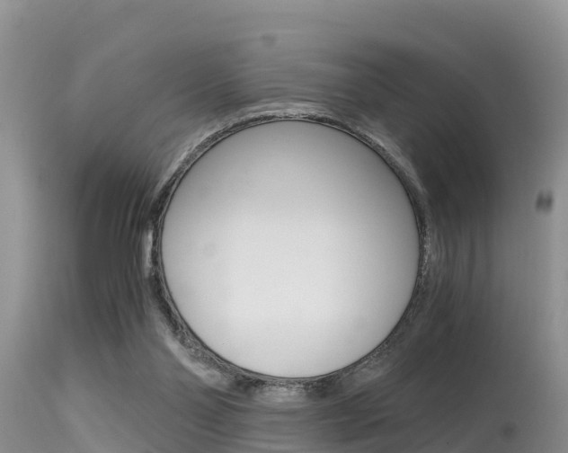 X0000115480110200911061033