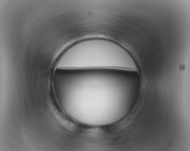 X0000115480112200911061033