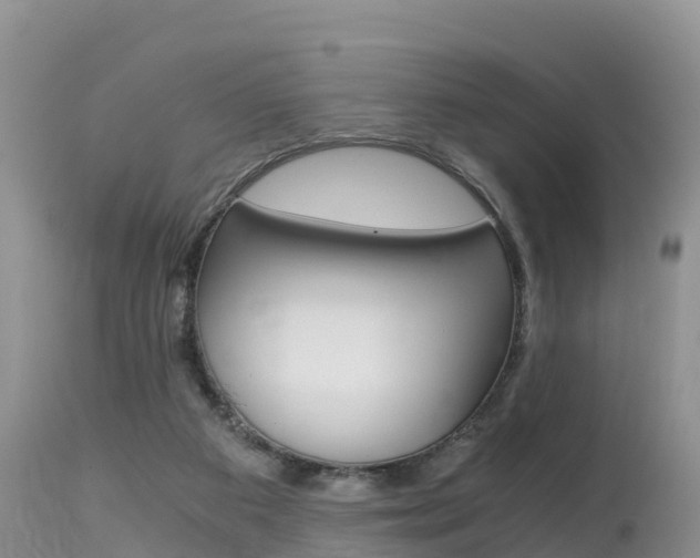X0000115480113200911061033