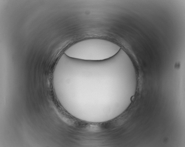 X0000115480114200911061033