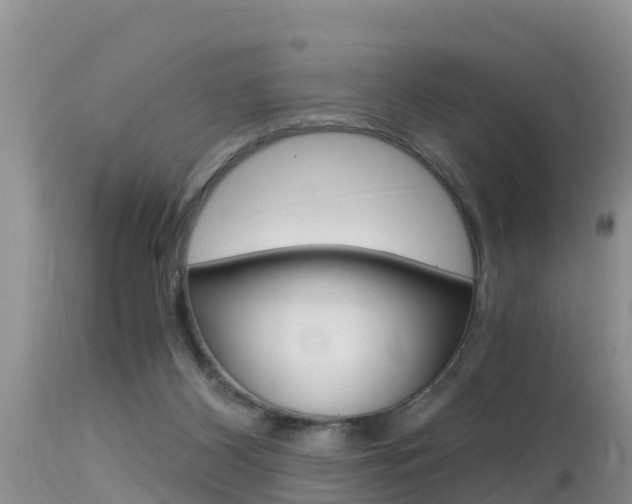 X0000115480116200911061033