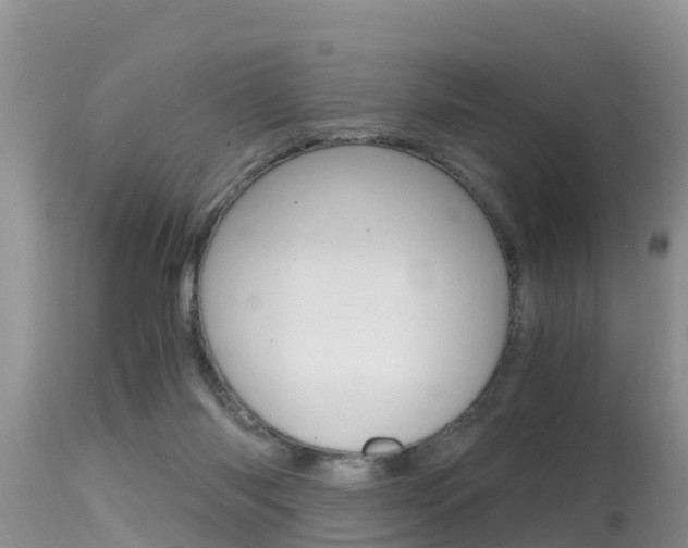 X0000115480118200911061033