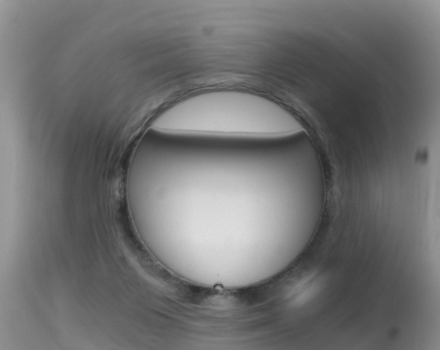 X0000115480119200911061033