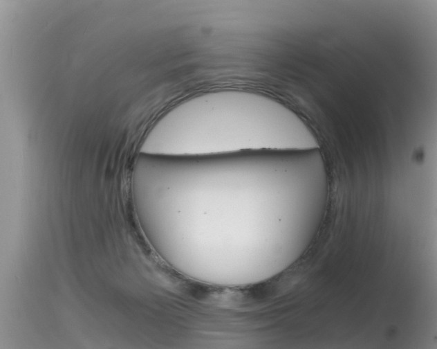 X0000115480125200911061033