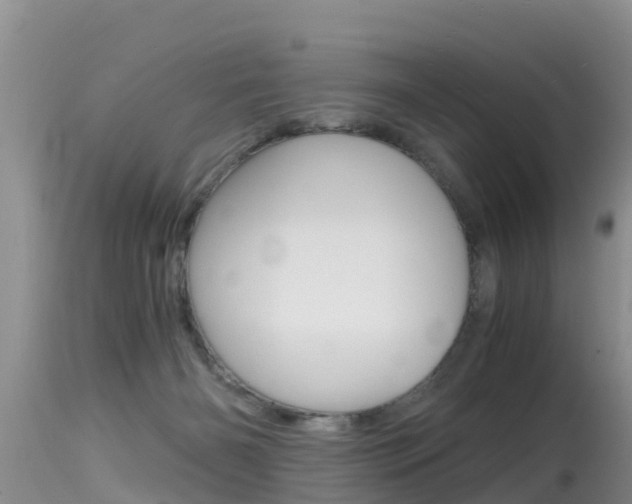 X0000115480126200911061033