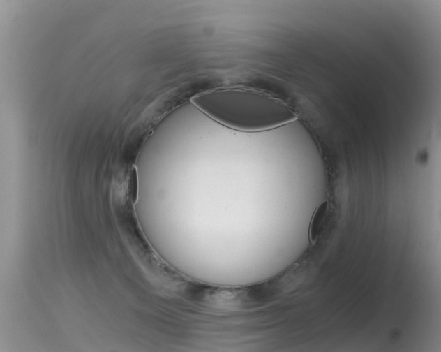 X0000115480129200911061033