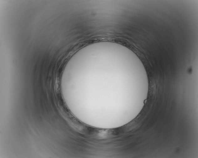 X0000115480130200911061033