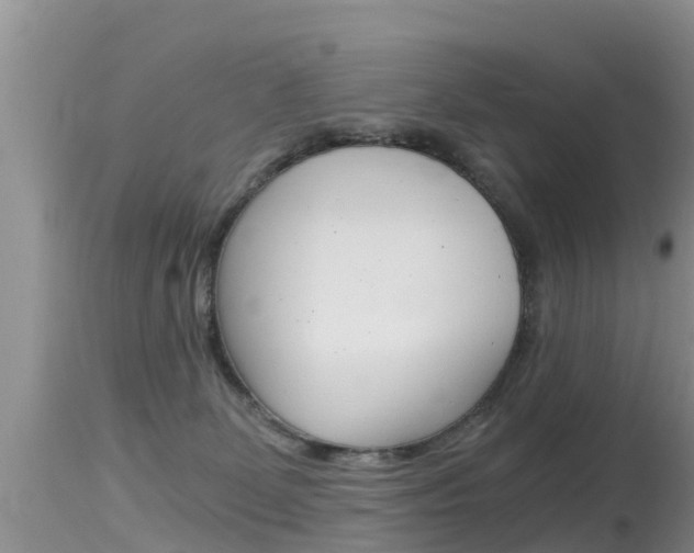 X0000115480131200911061033