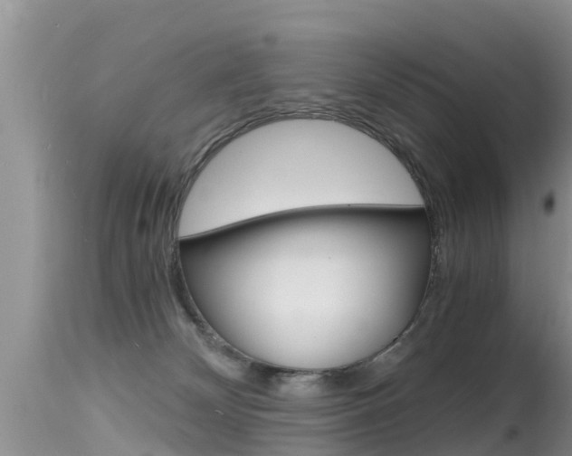 X0000115480132200911061033
