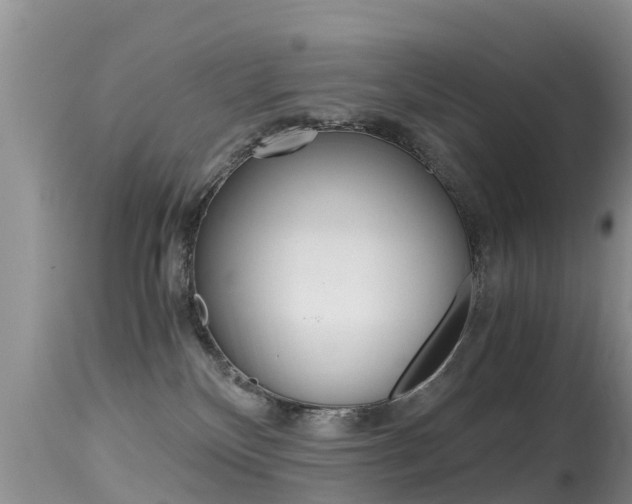 X0000115480136200911061033