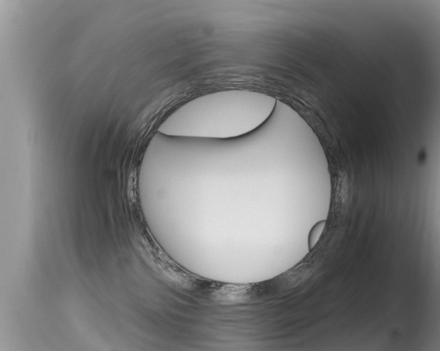 X0000115480138200911061033
