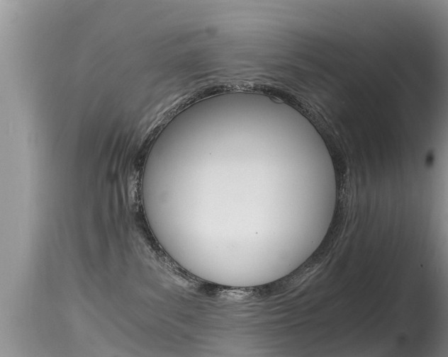 X0000115480139200911061033