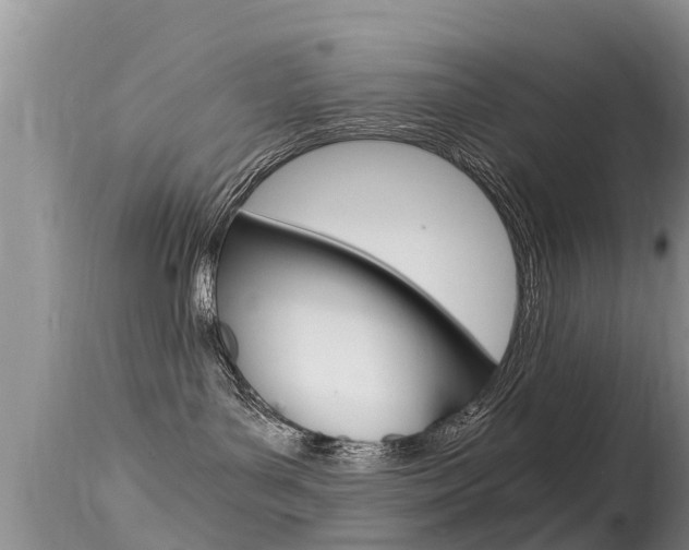 X0000115480143200911061033