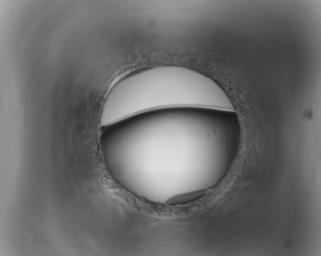 X0000115480144200911061033