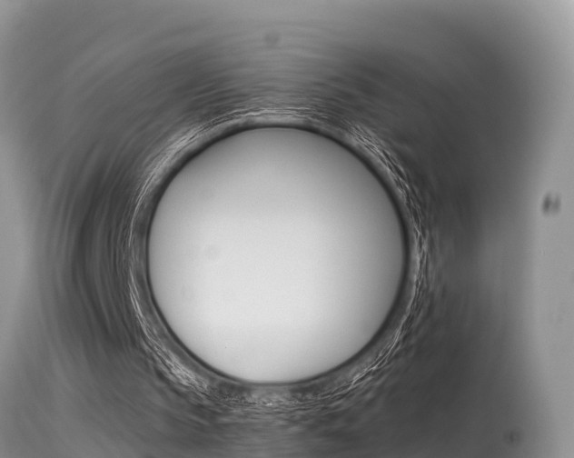 X0000115480145200911061032