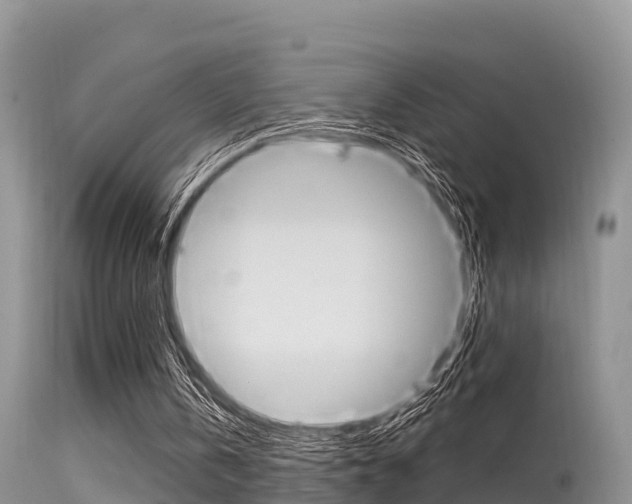 X0000115480146200911061032