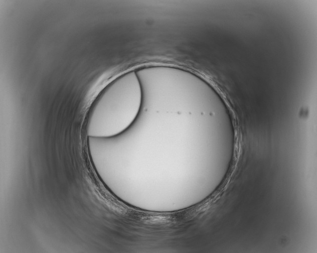 X0000115480151200911061032