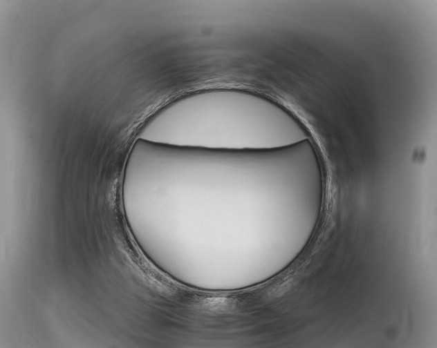 X0000115480153200911061032