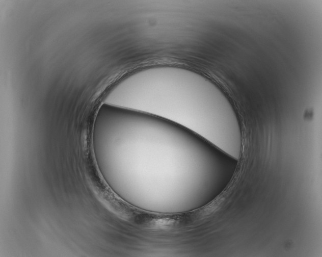 X0000115480158200911061032