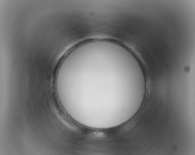 X0000115480159200911061032