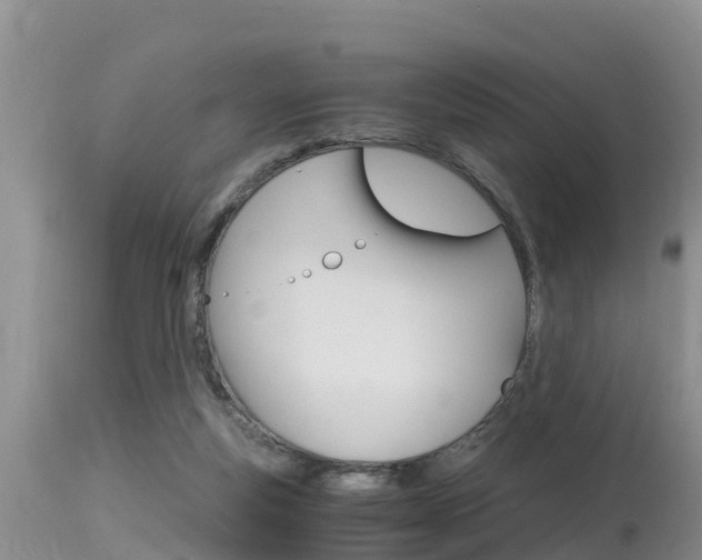 X0000115480163200911061032