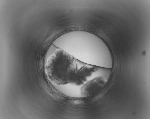 X0000115480165200911061032