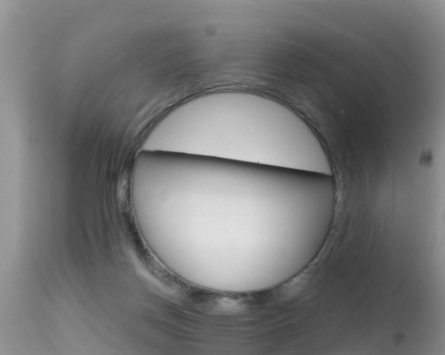 X0000115480166200911061033