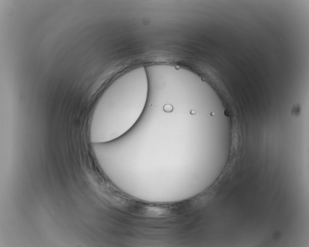 X0000115480167200911061033