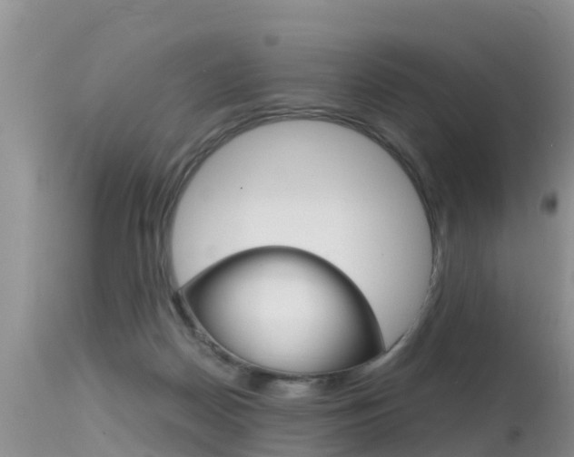 X0000115480170200911061033