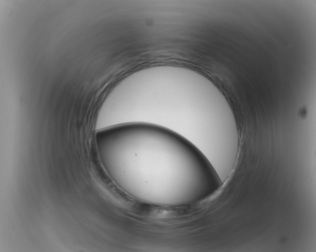 X0000115480174200911061033