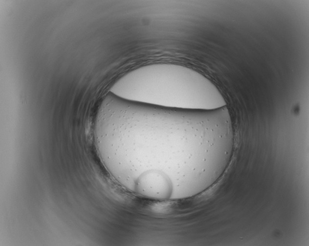 X0000115480178200911061033