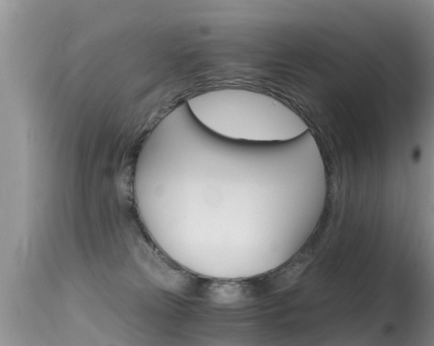 X0000115480181200911061033