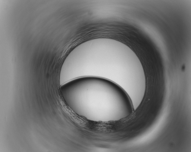 X0000115480190200911061033