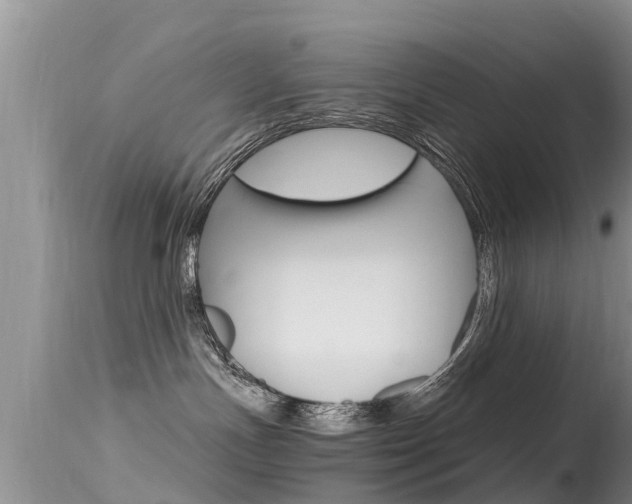 X0000115480191200911061033