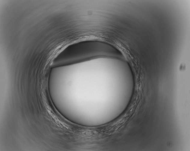 X0000115480193200911061032