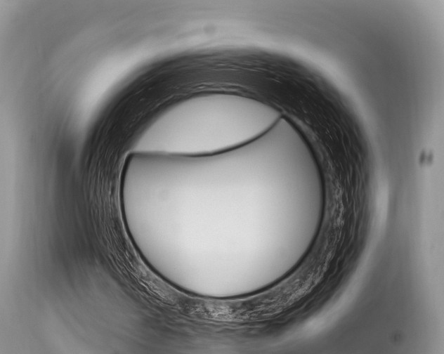 X0000115480194200911061032