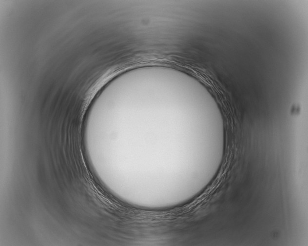 X0000115480195200911061032