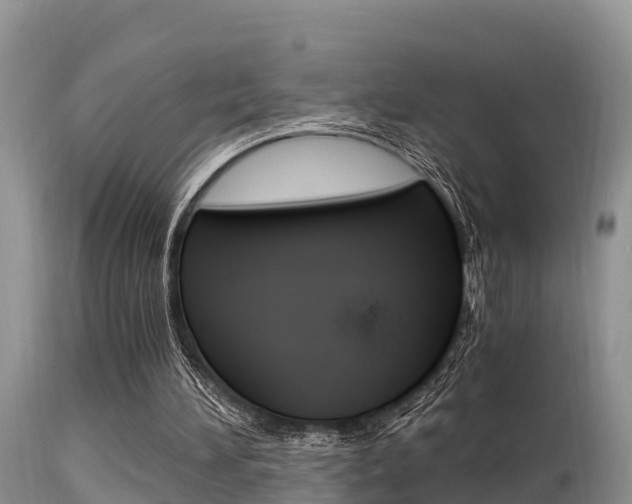 X0000115480196200911061032