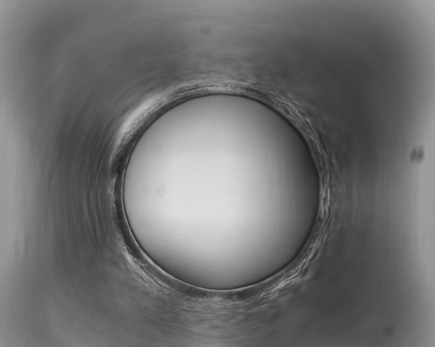 X0000115480197200911061032