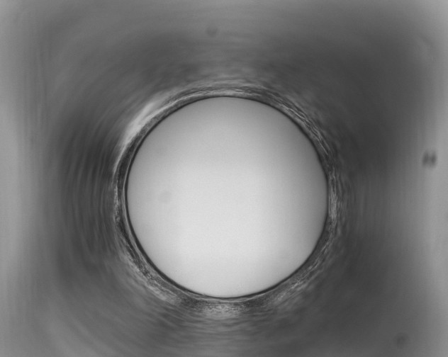 X0000115480198200911061032