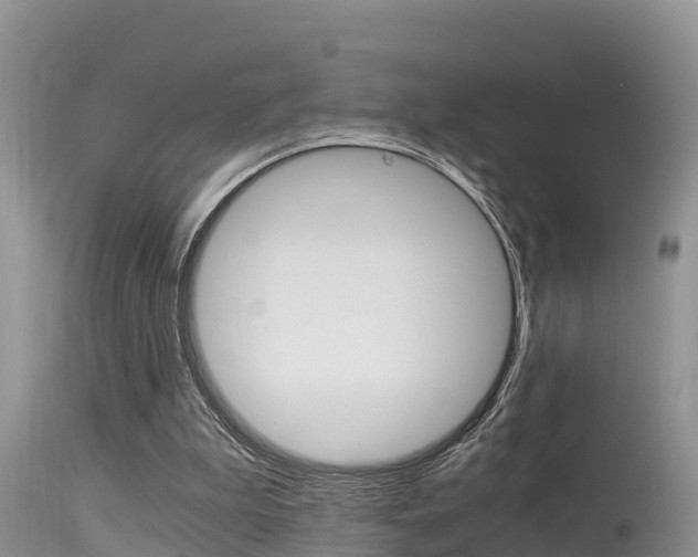 X0000115480199200911061032