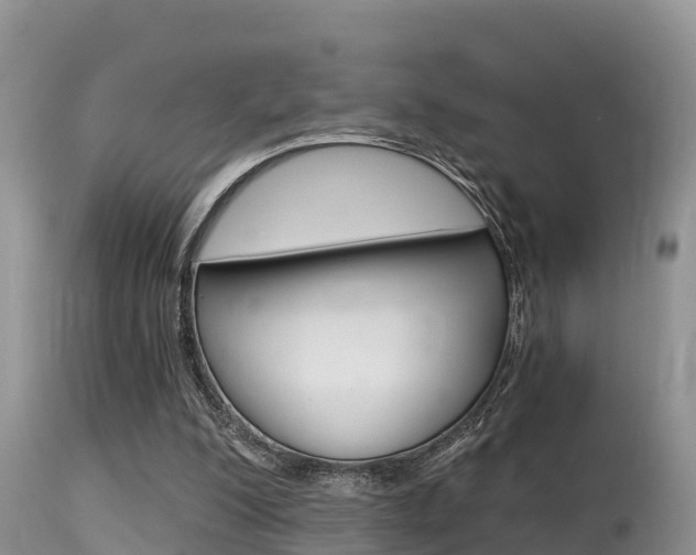 X0000115480200200911061032